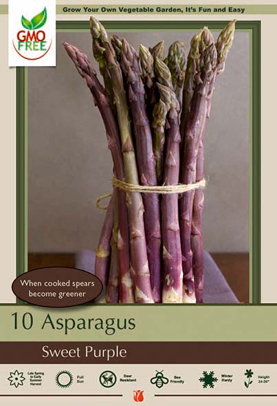 Asparagus 10P Sweet Purple 1yr