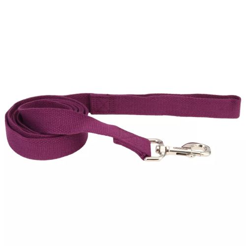 Coastal Leash Soy 5/8x6 Eggplant