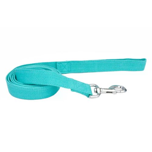 Coastal Leash Soy 5/8x6 Mint