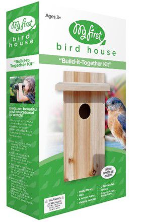 My First Birdhouse Kit