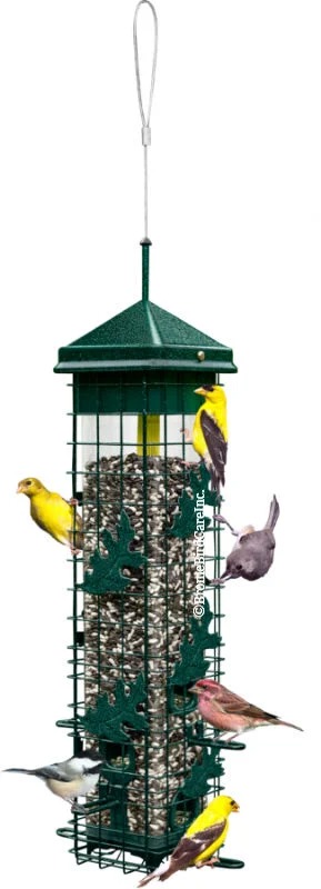 Suet Feeder Squirrel Buster with Weatherguard