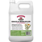 41% Glyphosate 1 gal