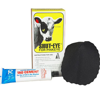 Pinkeye Patches Adult 10b