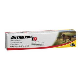 Anthelcide Equine Deworming Paste 24g Oxibendazole