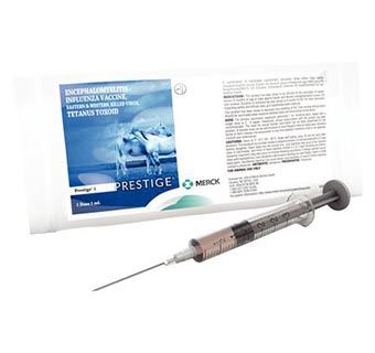 Prestige 4 1mL 1 Dose