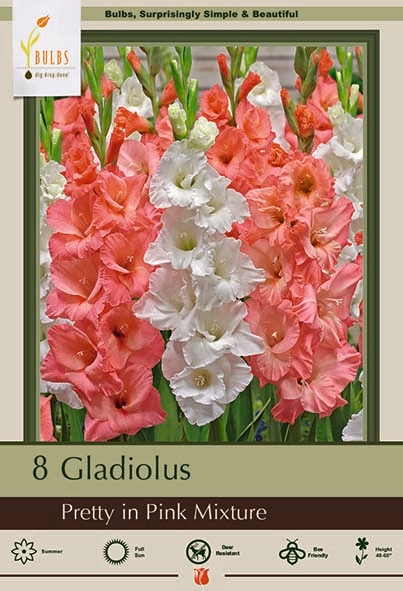 Gladiolus 10P Pretty in Pink Mix