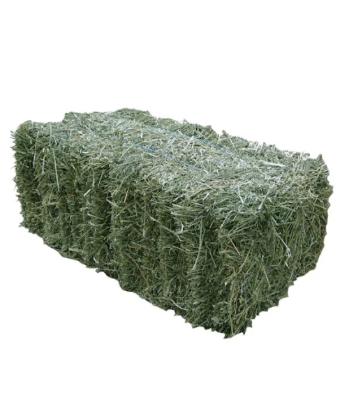 Hay Bale 2nd Cut Mixed Grass
