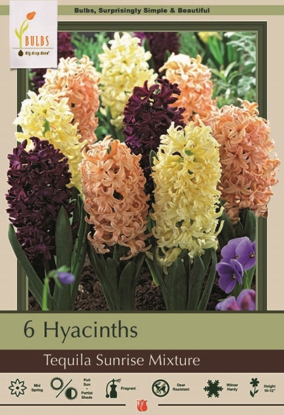 Hyacinth 6pk Tequila Sunrise Mix