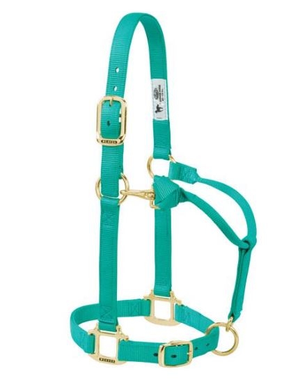 Horse Halter Nylon Suckling Emerald W/ Snap Cheek