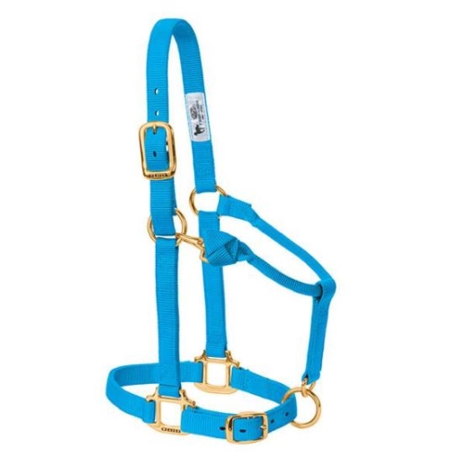 Horse Halter Nylon Suckling Hurricane Blue W/ Snap Cheek