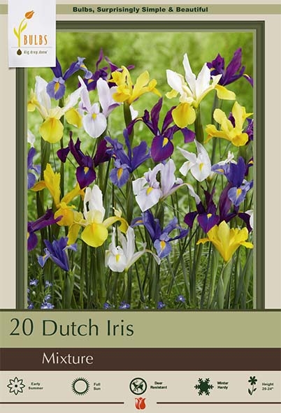 Iris 20pk Dutch Mix