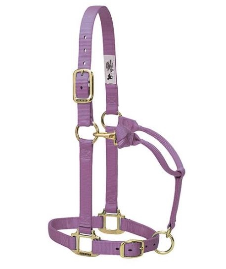 Horse Halter Nylon Yearling Lavender W/ Snap Cheek