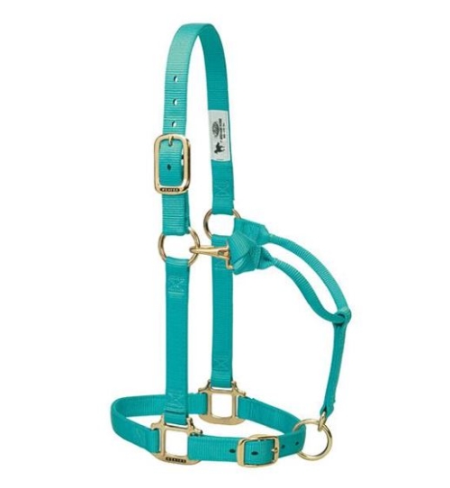 Horse Halter Nylon Avg Mint W/ Snap Cheek