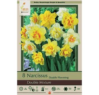 Narcissus 8pk Double Mixture