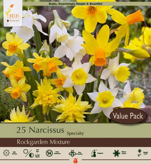 Narcissus 25pk Rock Garden OTB