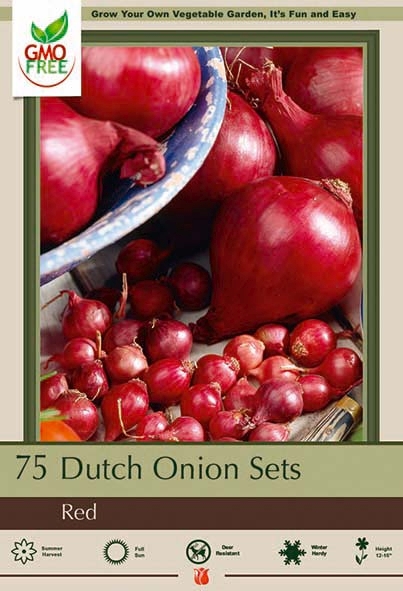 Onion Prepacked 75P Dutch Red