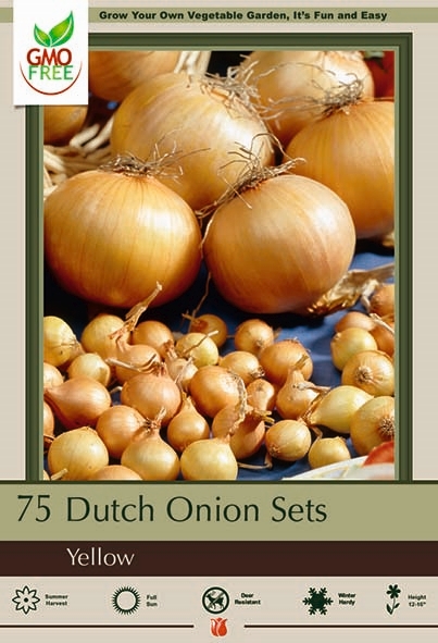Onion Prepaked 75P Stuttgarter
