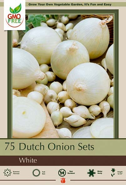 Onion Prepacked 75P White