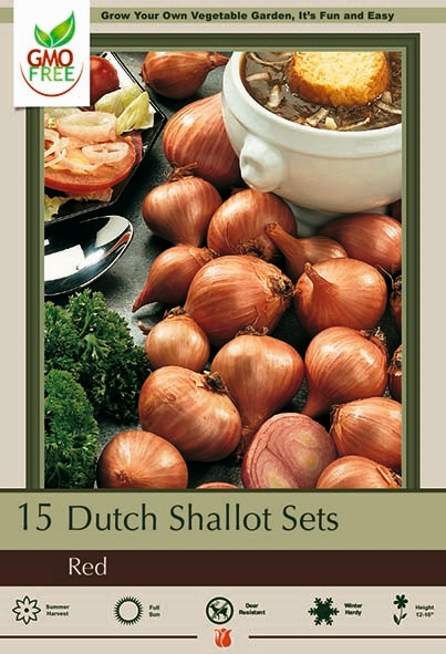 Shallot Prepacked 15P Red Dutch