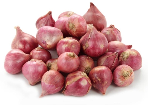 Onion Set Shallot Red /#