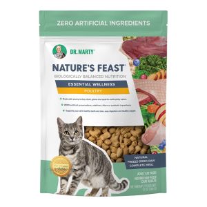 Dr Marty Freeze Dried Nature's Feast Poultry 12Oz