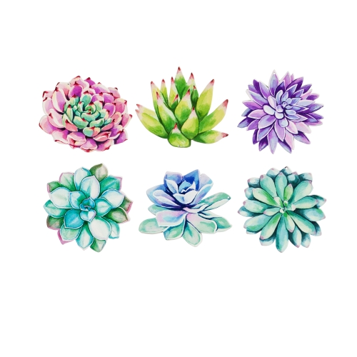 Screen Savers Astd Succulent