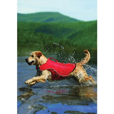 Kurgo Dog Life Jacket Red Small