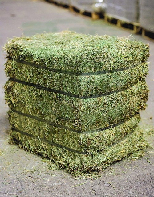 Alfalfa Hay Compressed 40lb Bale