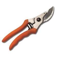 Stihl Pruner Pp10