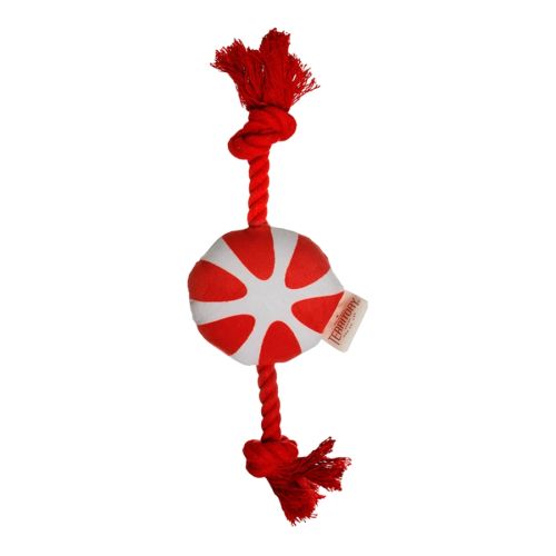 Territory Dog Candy Cane Rope Tug Toy Large