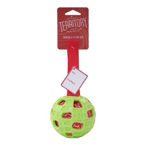 Ter Fetch Ball Dog Toy