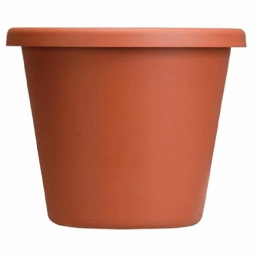 Planter Classic 6" Clay