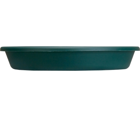 Saucer 10" Plstc Grn