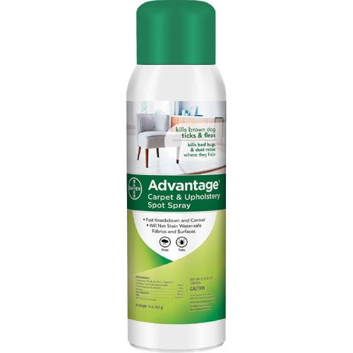 Advantage Aeosol Spray for Carpet & Upholstry 16oz