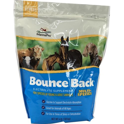 Bounce Back Electrolytes 4Lb