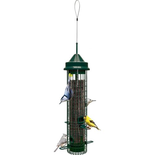 Squirrel Buster Bird Feeder Classic #1015 1.4qt