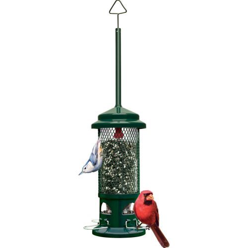 Squirrel Buster Bird Feeder Standard #1057 .75qt