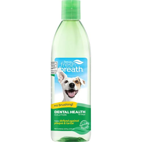 Fresh Breath Original 16Oz