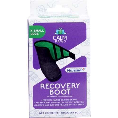 Xs Recovery Boot