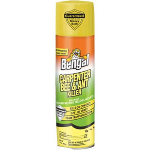 B Carpenter Bee/ant Kill 16 Oz