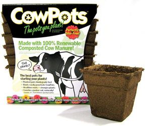 Cowpots 4" Square 12pack