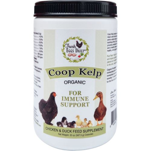 Coop Kelp Poultry Immune Support