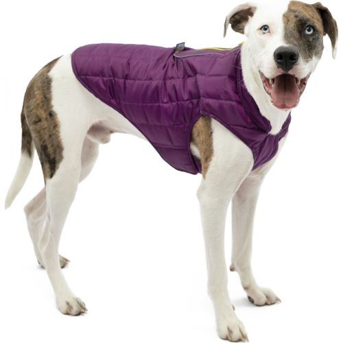 Kurgo Loft Dog Jacket Violet Lg