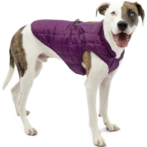 Kurgo Loft Dog Jacket Violet Xl