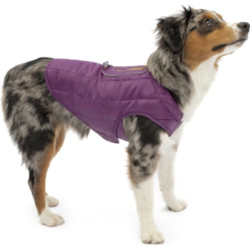 Kurgo Loft Dog Jacket Violet Xs