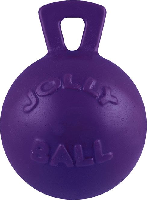 Tug N Toss 6" Purple