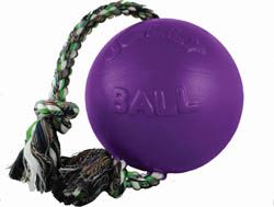 Romp N Roll 6" Purple Jolly Ball