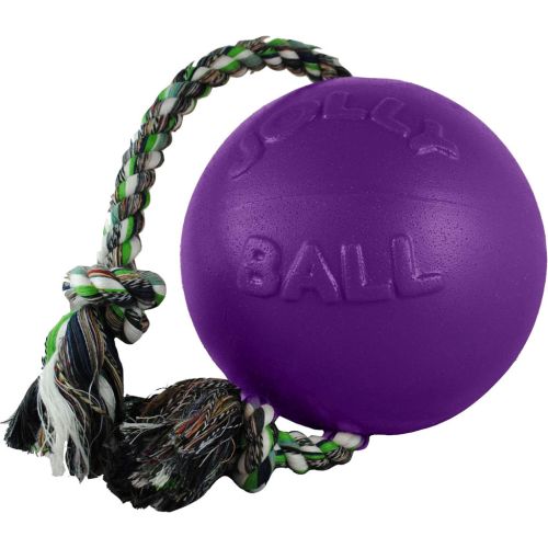 Romp N Roll 8" Purple Jolly Ball