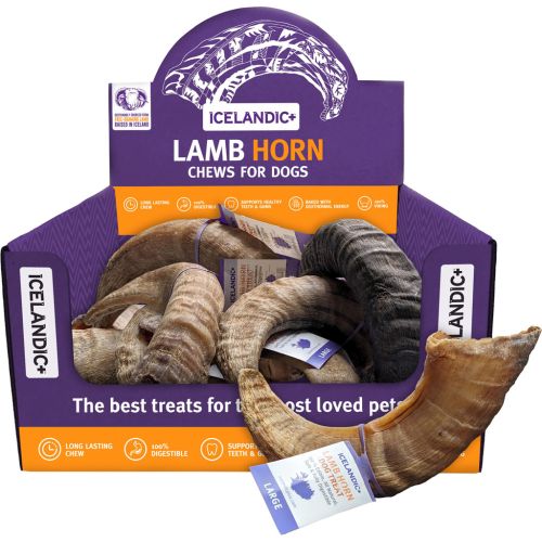 Lg Lamb Horn Chew Icelandic