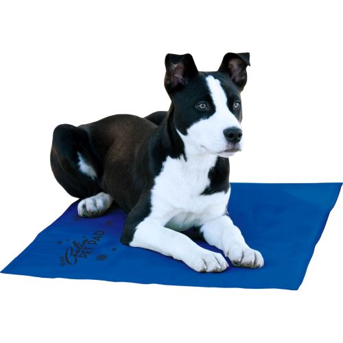 K&h Lg Cooling Pet Mat